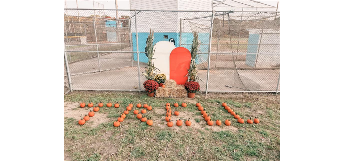 T-ball Pumpkin Picking